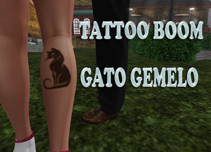 gato gemelo