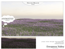 Heather Meadow Purple