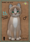 KittyCatS Box - MegaPuss