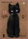 KittyCatS Box - MegaPuss