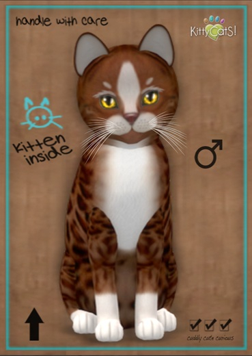 MEGAPUSS: KittyCatS Box - Genesis - Ginger II - MegaPuss