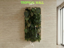 Tropical Wall Vol.7 - CANARUN - (Rezzme)