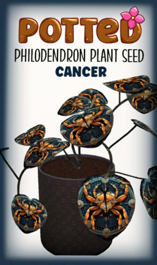 Potted: Philodendron Seed: Cancer