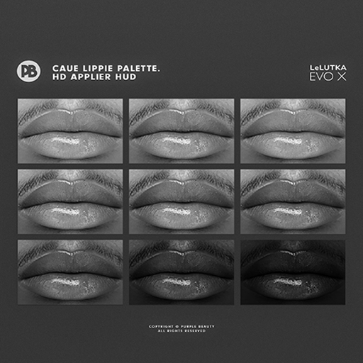 CAUE LIPPIE DEMO