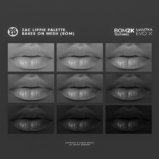 ZAC LIPPIE DEMO (EVOX)