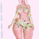 B.P::Bellinda Outfit  Fatpack