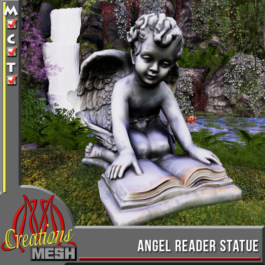 Angel Reader FP box, once upon a time....