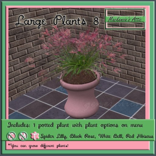 [M.A.] Misc Large  Potted Plants  8 (Boxed-Transfer)
