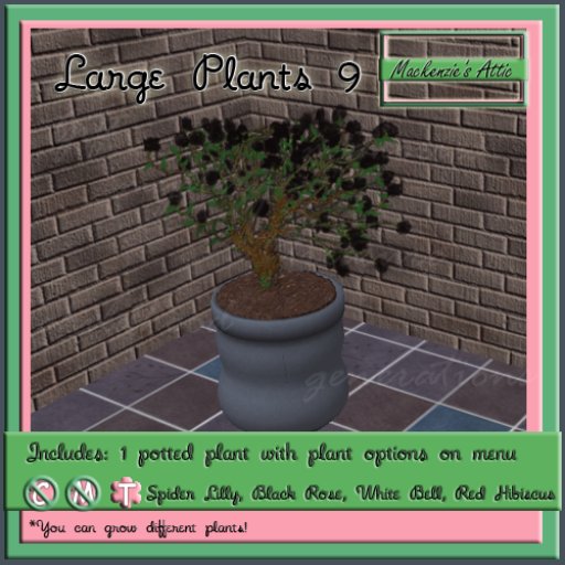[M.A.] Misc Large  Potted Plants  9 (Boxed-Transfer)