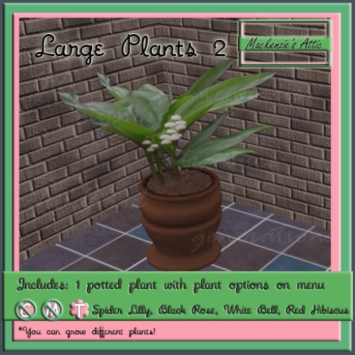 [M.A.] Misc Large  Potted Plants 2 (Boxed-Transfer)