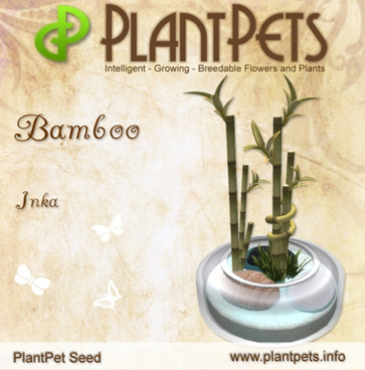 PlantPet Seed [Bamboo *Inka*]