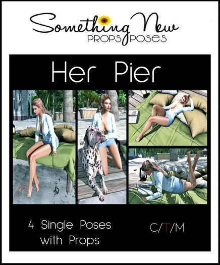 **SN~ Her Pier