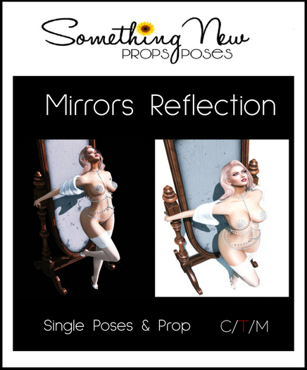 **SN~ Mirrors Reflection