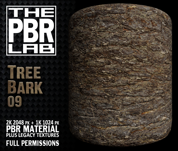 The PBR Lab - Tree Bark 09