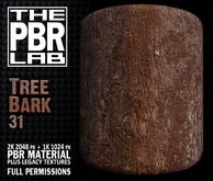 The PBR Lab - Tree Bark 31