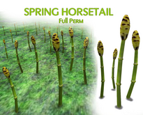 Horsetail