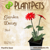 PlantPet Seed [Garden Daisy *Red*] (common)