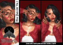[WILDERIA] Mini Pack Gift Vol.2 [Add]