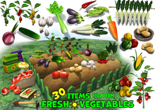 Fresh Vegetable