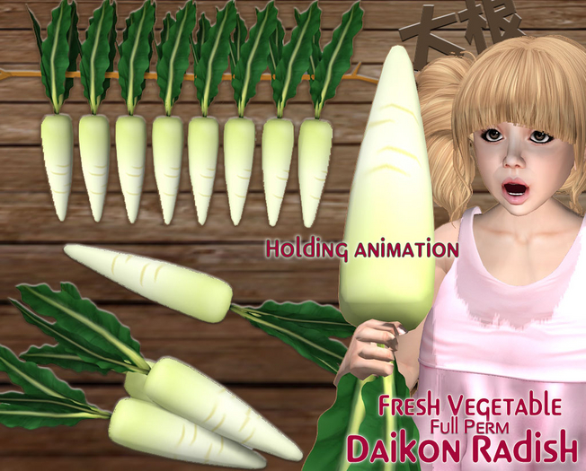 Japanese Radish Daikon