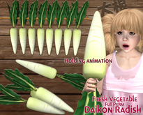 Japanese Radish Daikon