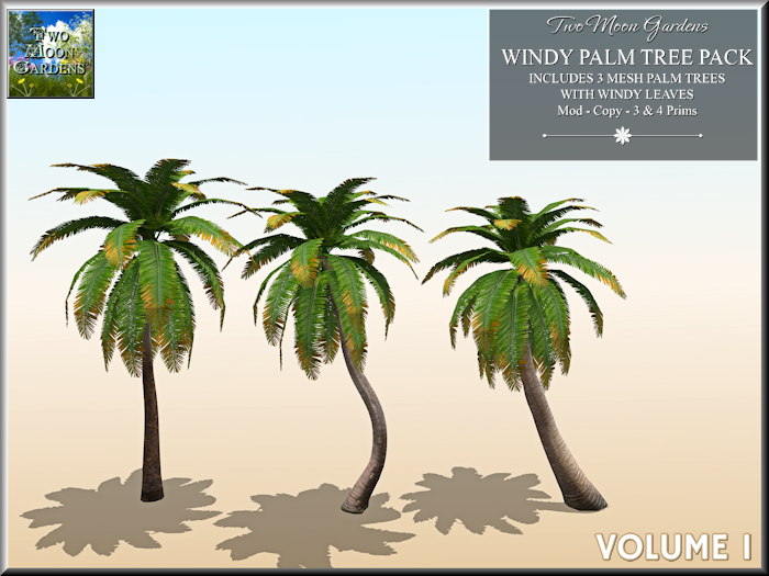 Palm Trees Windy Promo