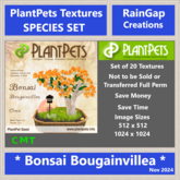PLANTPETS POSTER SET BONSAI BOUGAINVILLEA (20)