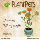 PlantPet Seed [Chrysanth *Mercury*] RARE ELITE! ~Release Date: 12/22/2022~ 