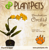 PlantPet Seed [Dendrobium Orchid *Tiger*] LIMITED EDITION