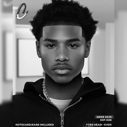 Canvas / Meer Skin / Demos