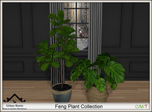 UR Feng Plant Collection