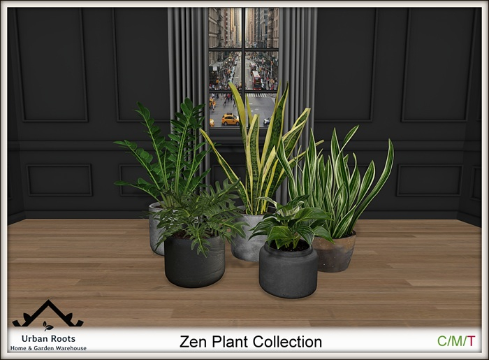 UR Zen Plant Collection
