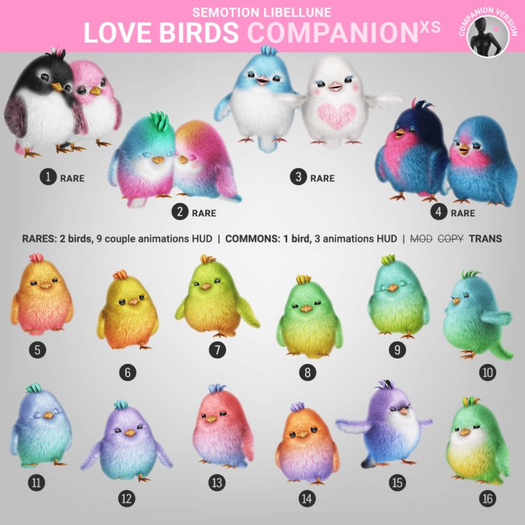 SEmotion Libellune Love Birds XS Companion RARE 01