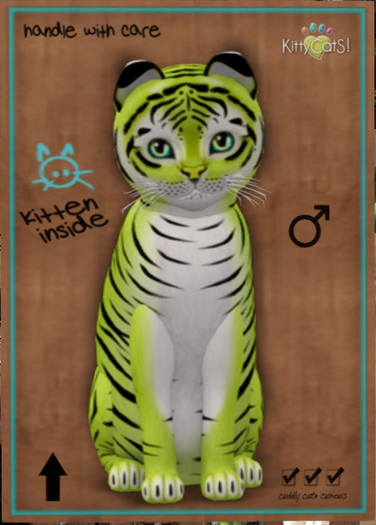 KittyCatS Box - New Born Kitten   1132