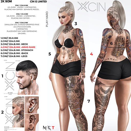 6.CIN// 224.B.INK -BACK