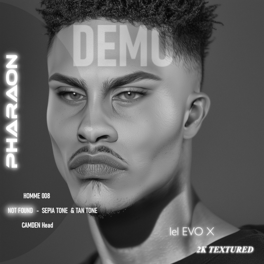 PHARAON - HOMME 008 / DEMO
