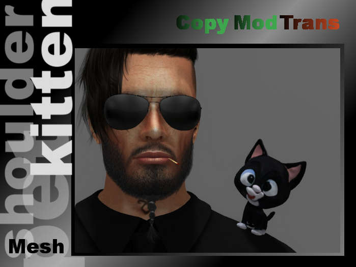 Kätzchen, Katzenjunges (shoulder companion)