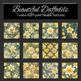 *Wallflowers* Beautiful Daffodils