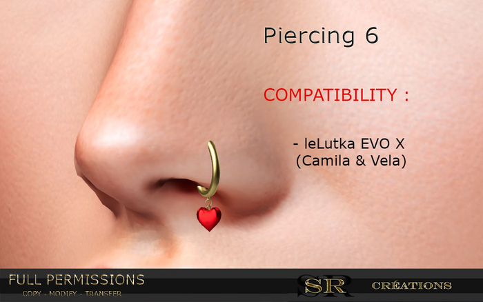 Piercing-Nose-6-Full Permissions Box