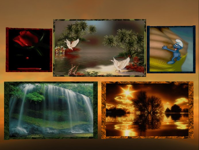 5 Animated Pictures - Waterfall, Sunset, Birds, BleedingRose