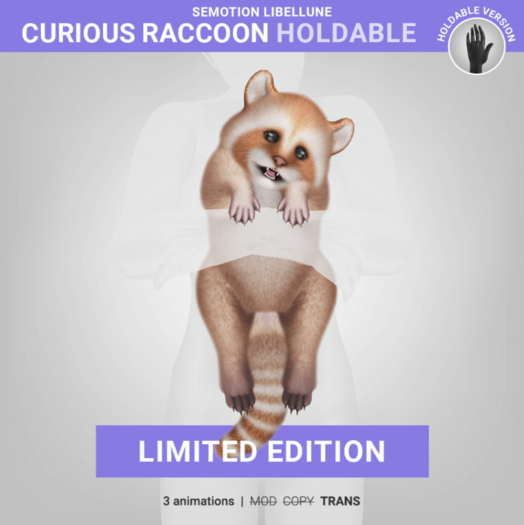 SEmotion Libellune Curious Raccoon Holdable LIMITED
