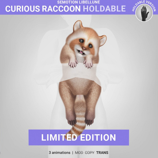 SEmotion Libellune Curious Raccoon Holdable LIMITED