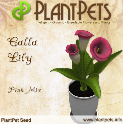 PlantPet Seed [Calla Lily *Pink Mix*] RARE LITE