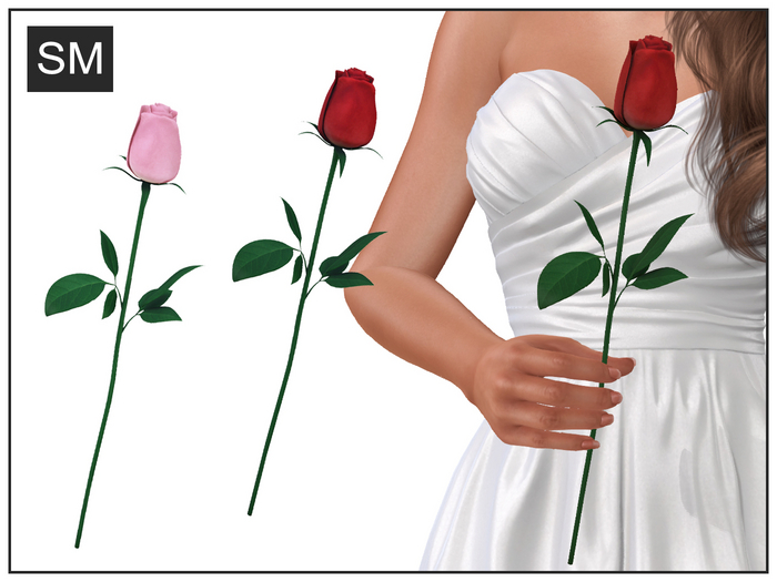 Single Rose (Transferable)