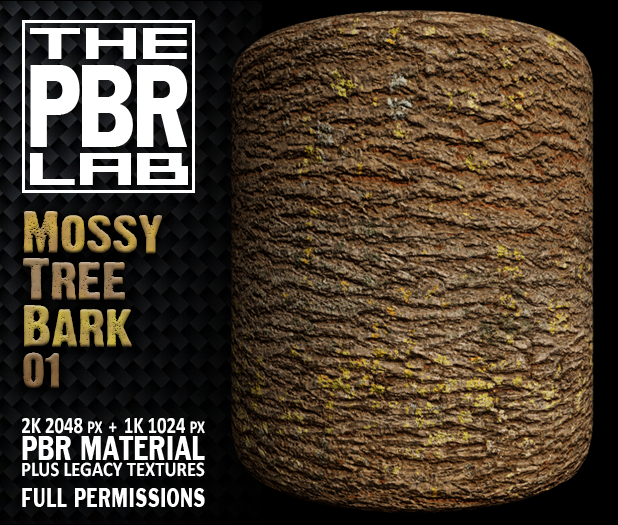 The PBR Lab - Mossy Tree Bark 01