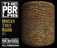 The PBR Lab - Mossy Tree Bark 01