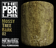 The PBR Lab - Mossy Tree Bark 02
