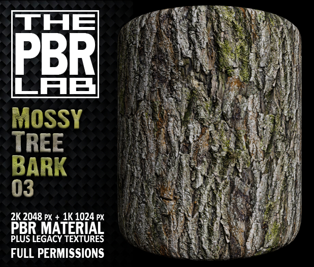 The PBR Lab - Mossy Tree Bark 03