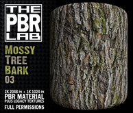 The PBR Lab - Mossy Tree Bark 03