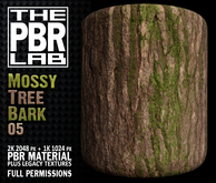 The PBR Lab - Mossy Tree Bark 05